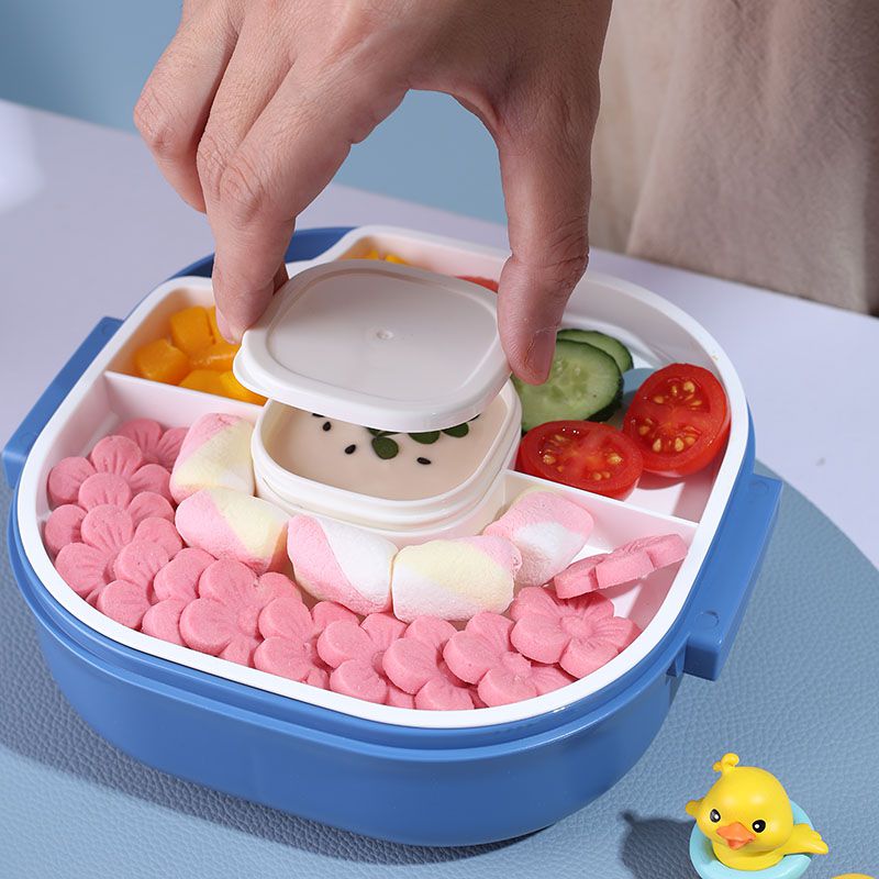 New portable plastic kids lunch box with Seasoning box